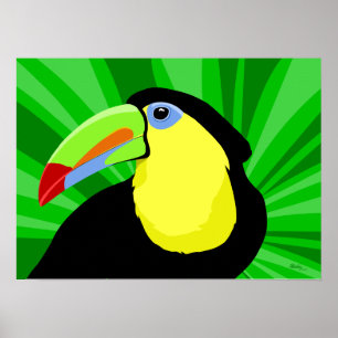 Toucan Art Posters and Prints Poster