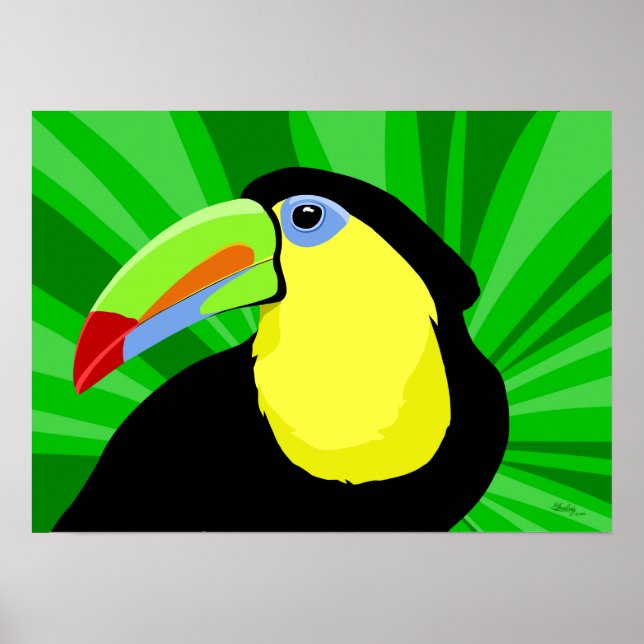 Toucan Art Posters and Prints Poster (Vorne)