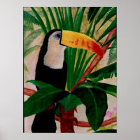 Toucan Bird Südamerikanische Jungfrau Art