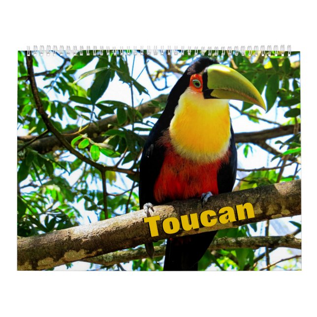 Toucan Birds Calendar Kalender (Titelbild)
