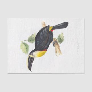 Toucan Decoupage Seidenpapier