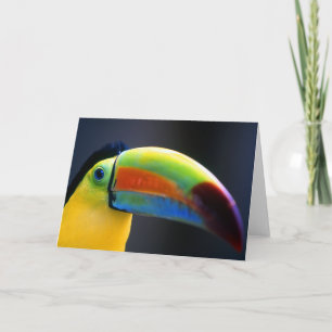 Toucan-Gruß Karte