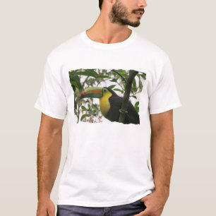 Toucan im Dschungel T-Shirt