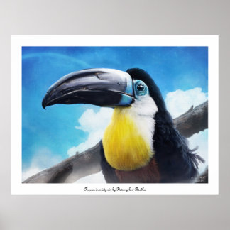 Toucan in misty air poster