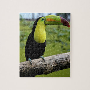 TOUCAN Jigsaw Puzzle