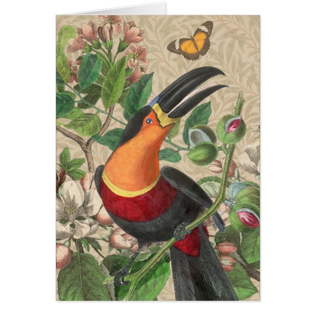 Toucan Jungle Tropical Bird Beautiful Antique (Vorne)