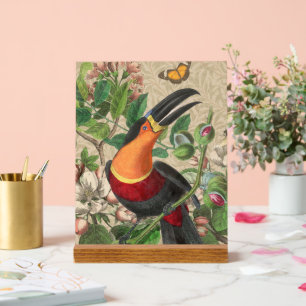 Toucan Jungle Tropical Bird Beautiful Antique Acrylschild