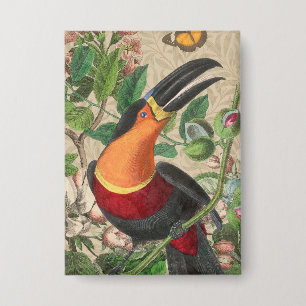 Toucan Jungle Tropical Bird Beautiful Antique Button