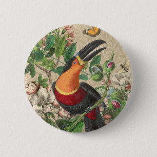 Toucan Jungle Tropical Bird Beautiful Antique Button