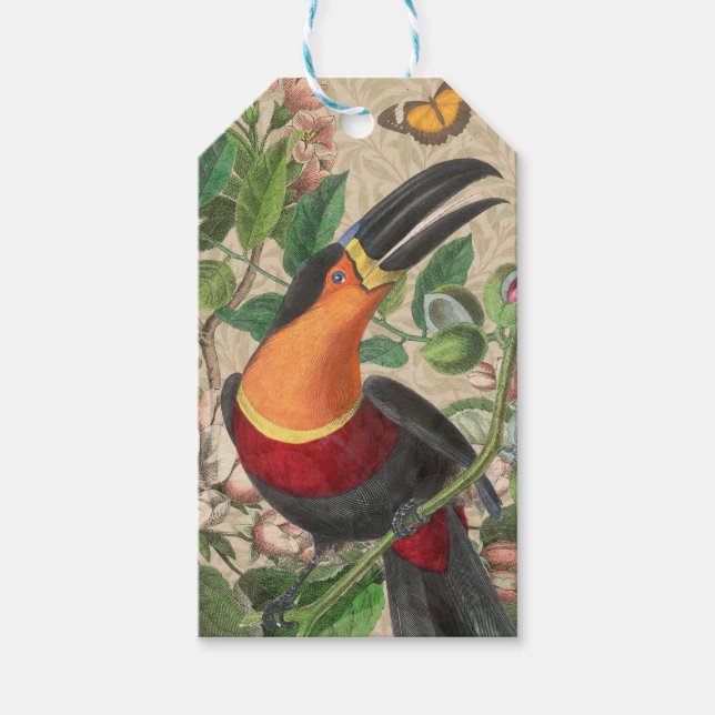 Toucan Jungle Tropical Bird Beautiful Antique Geschenkanhänger (Vorderseite)