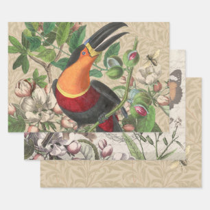 Toucan Jungle Tropical Bird Beautiful Antique Geschenkpapier Set