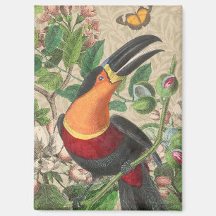 Toucan Jungle Tropical Bird Beautiful Antique Magnet