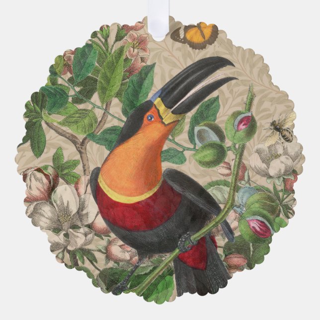 Toucan Jungle Tropical Bird Beautiful Antique Ornament Karte (Vorderseite)