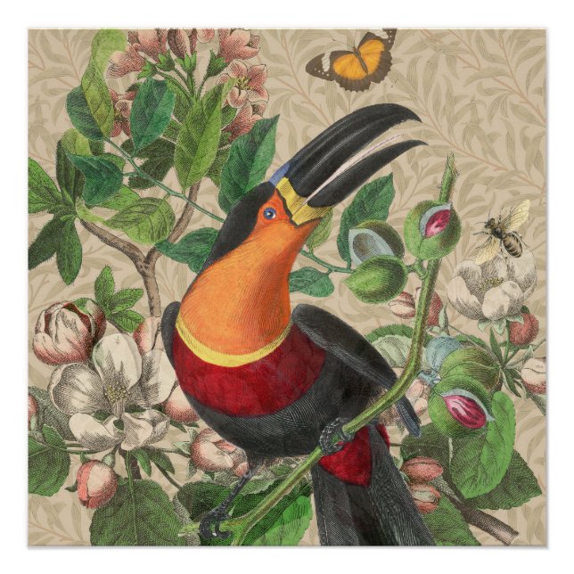 Toucan Jungle Tropical Bird Beautiful Antique Poster (Vorderseite)