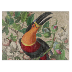 Toucan Jungle Tropical Bird Beautiful Antique Schneidebrett