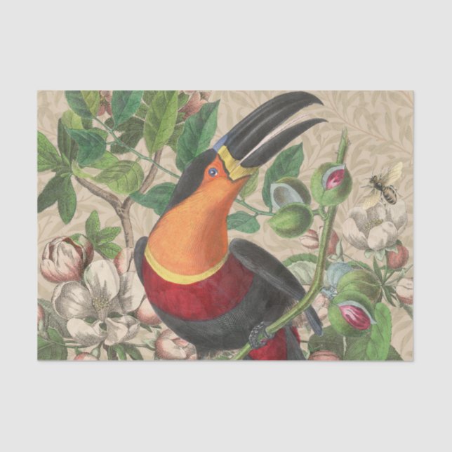 Toucan Jungle Tropical Bird Beautiful Antique Seidenpapier (Vorderseite)