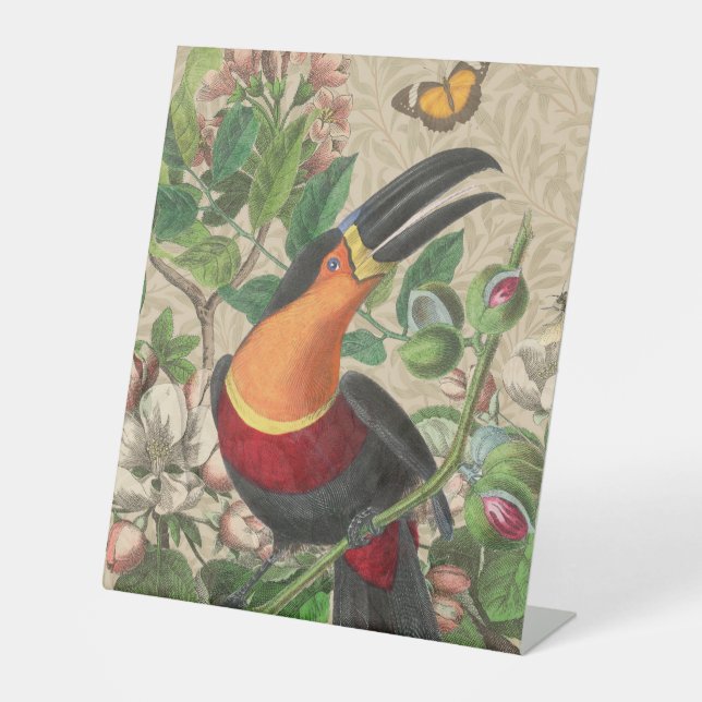 Toucan Jungle Tropical Bird Beautiful Antique Sockelschild (Vorderseite)