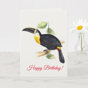 Toucan Karte