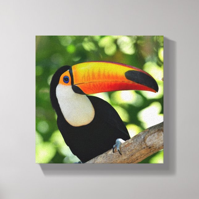 Toucan Leinwanddruck (Vorderseite)
