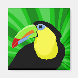 Toucan-Magnete Magnet