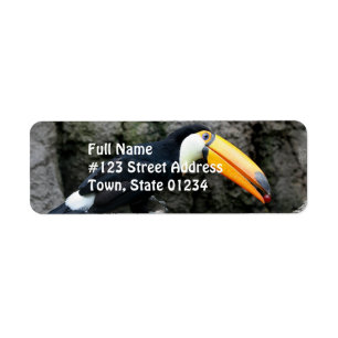 Toucan mit Beere