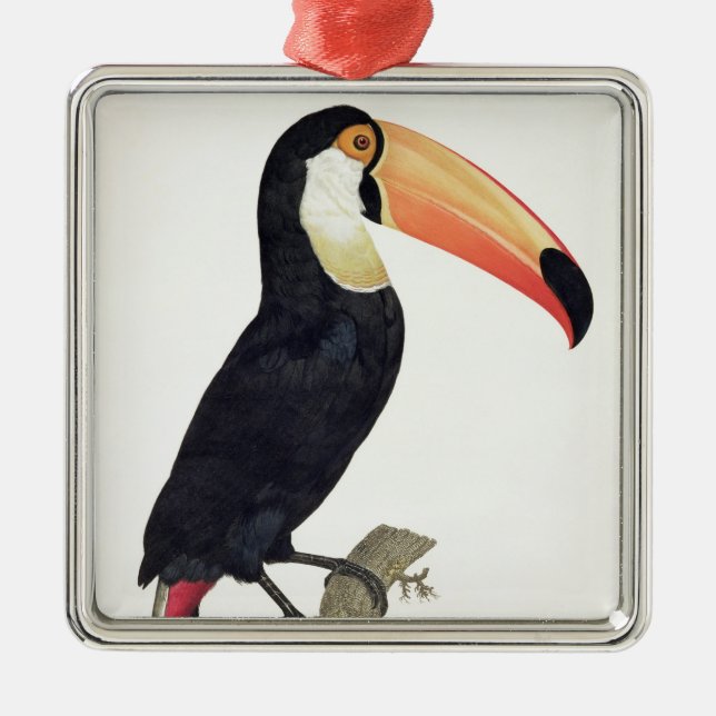 Toucan No.2, 'von der Geschichte der Vögel von Ornament Aus Metall (Vorne)