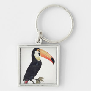 Toucan No.2, 'von der Geschichte der Vögel von Schlüsselanhänger
