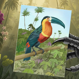 Toucan Painting Postkarte