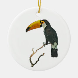Toucan Portrait Animal Tropical Bird Design Keramik Ornament