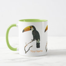 Toucan Portrait Animal Tropical Bird Design