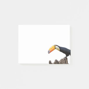 Toucan Post-it Klebezettel