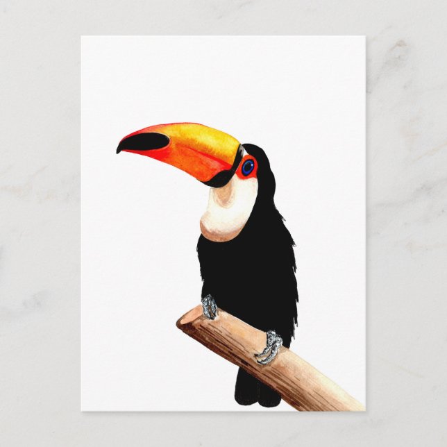 Toucan Postkarte (Vorderseite)