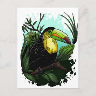Toucan Postkarte