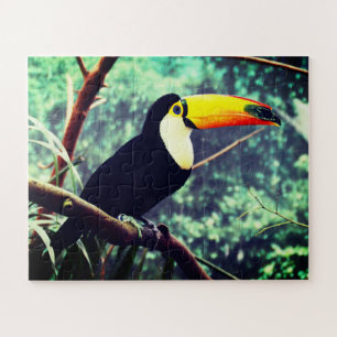 Toucan Puzzle