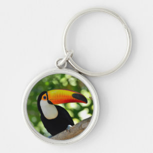 Toucan Schlüsselanhänger