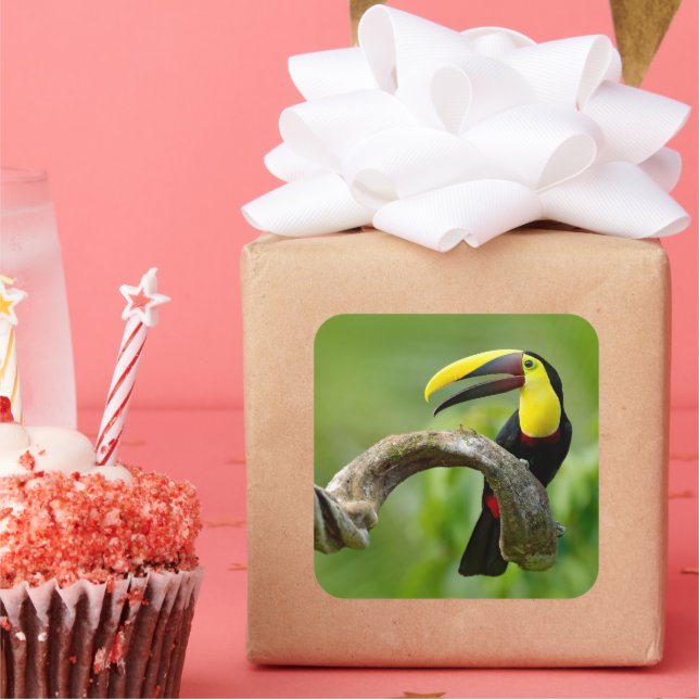 Toucan sitzt auf dem Ast im Wald Quadratischer Aufkleber (Party)