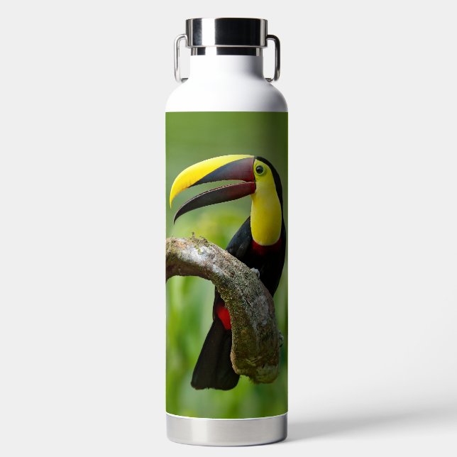 Toucan sitzt auf dem Ast im Wald Trinkflasche (Vorderseite)