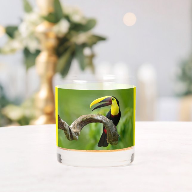 Toucan sitzt auf dem Ast im Wald Whiskyglas (Insitu (Hochzeit))