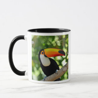 Toucan Tasse