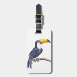 Toucan, tropischer Vogel Gepäckanhänger