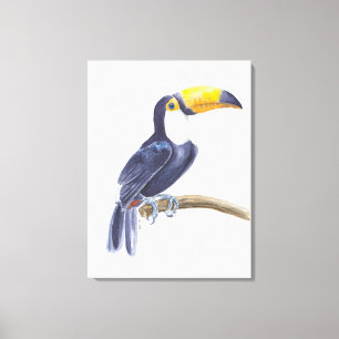 Toucan, tropischer Vogel Leinwanddruck
