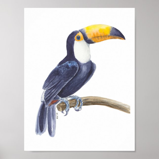 Toucan, tropischer Vogel Poster (Vorne)