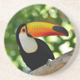 Toucan Untersetzer