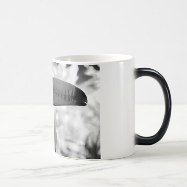 Toucan verwandeln Tasse (Rechts)