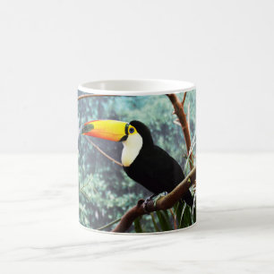 Toucan-Vogel Tasse