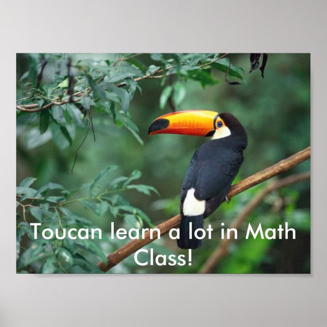 ToucanMath Poster (Vorne)
