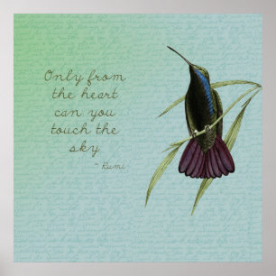 Touch der Himmel-Kolibri Poster