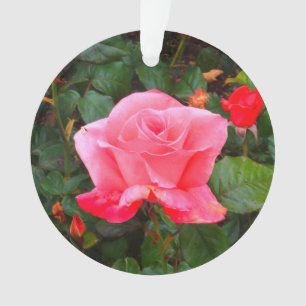Touch der Klasse Rose #1 Ornament