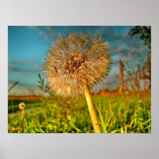 Touch der Magie-Staub Poster (Vorne)