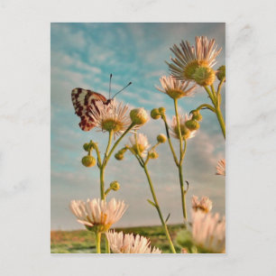 Touch der Magischen Staub von Oz Postkarte